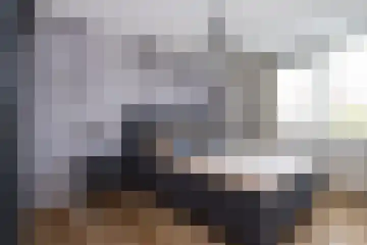 Bachplantsoen 3 Dirksland thumbnail 17