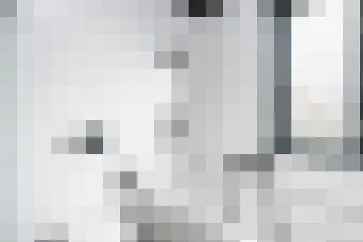 Bachplantsoen 3 Dirksland thumbnail 23