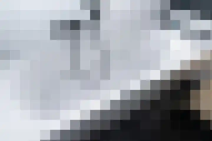 Bachplantsoen 3 Dirksland thumbnail 24