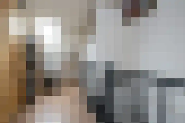 Bachplantsoen 3 Dirksland thumbnail 30