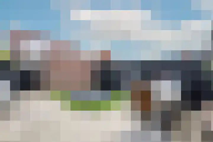 Bachplantsoen 3 Dirksland thumbnail 32