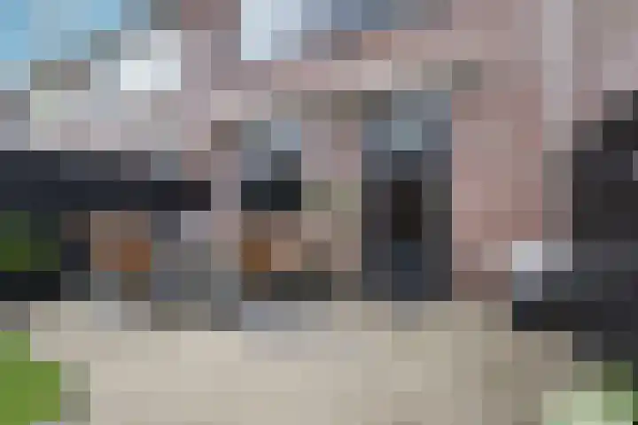 Bachplantsoen 3 Dirksland thumbnail 33