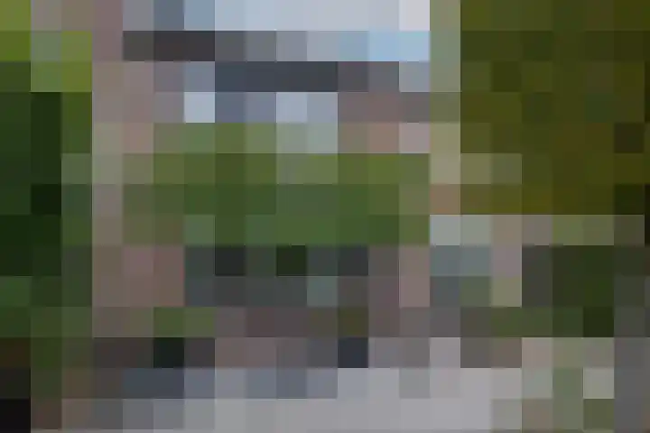 Bachplantsoen 3 Dirksland thumbnail 34