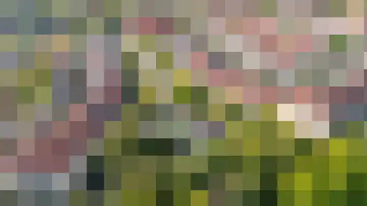Bachplantsoen 3 Dirksland thumbnail 39