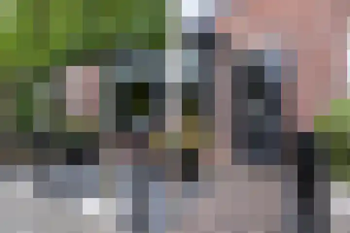 Bachplantsoen 3 Dirksland thumbnail 4