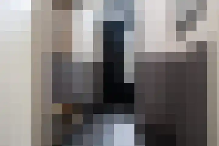 Bachplantsoen 3 Dirksland thumbnail 5