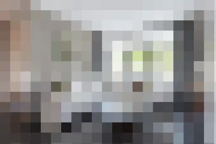 Bachplantsoen 3 Dirksland thumbnail 6