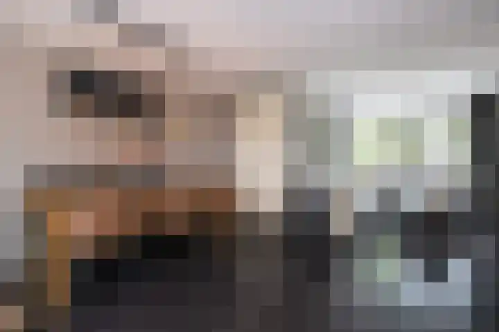 Bachplantsoen 3 Dirksland thumbnail 9