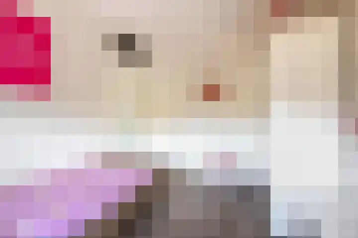 Bachplantsoen 6 Dirksland thumbnail 17