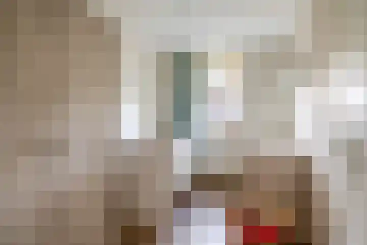 Bachplantsoen 6 Dirksland thumbnail 18