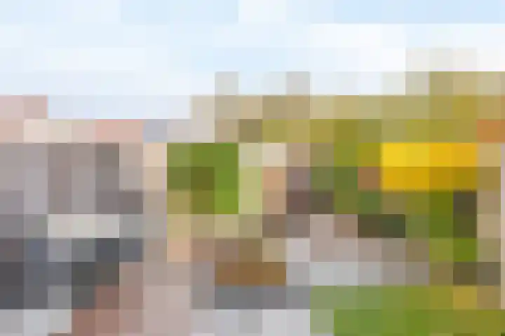 Bachplantsoen 6 Dirksland thumbnail 25