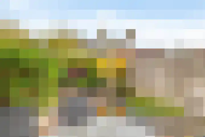 Bachplantsoen 6 Dirksland thumbnail 26