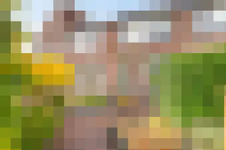 Bachplantsoen 6 Dirksland thumbnail 27