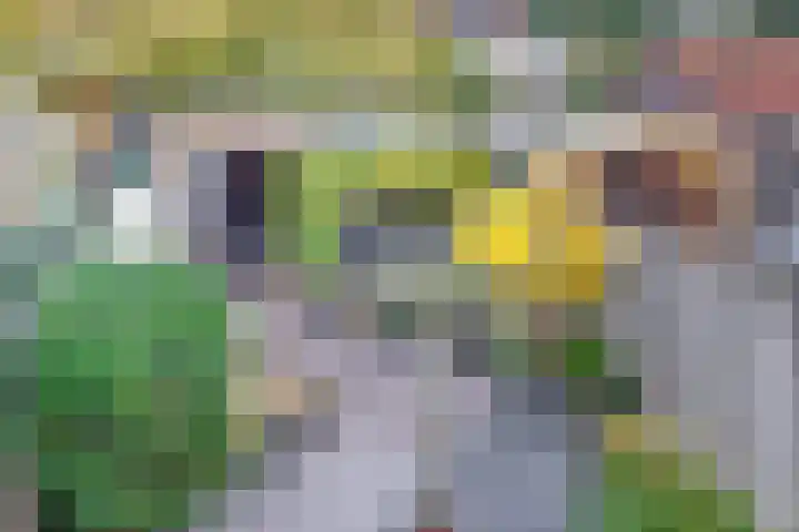 Bachplantsoen 6 Dirksland thumbnail 29