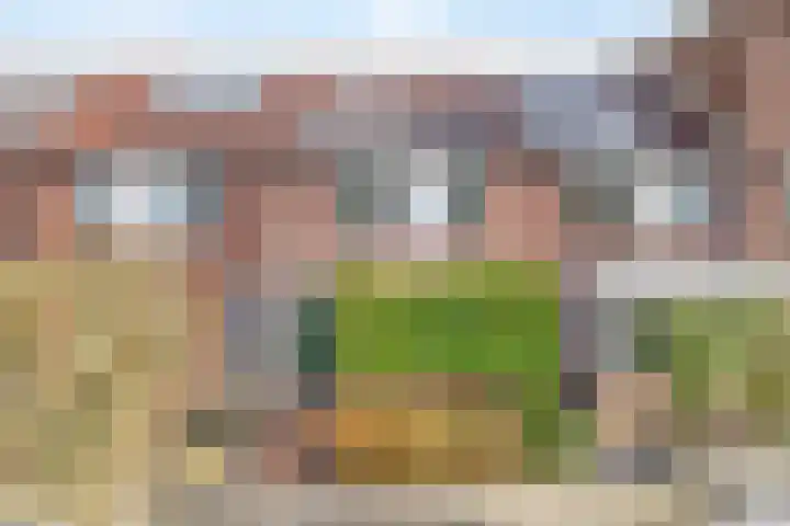Bachplantsoen 6 Dirksland thumbnail 30