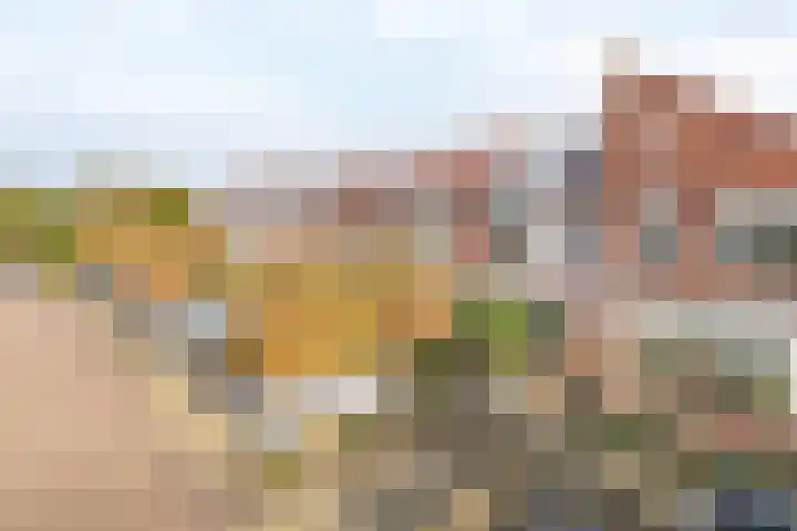 Bachplantsoen 6 Dirksland thumbnail 31