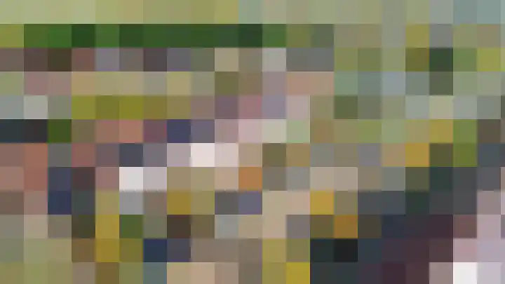 Bachplantsoen 6 Dirksland thumbnail 32