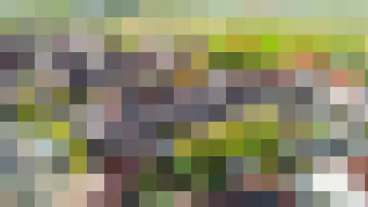 Bachplantsoen 6 Dirksland thumbnail 33