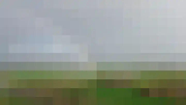 Bachplantsoen 6 Dirksland thumbnail 34