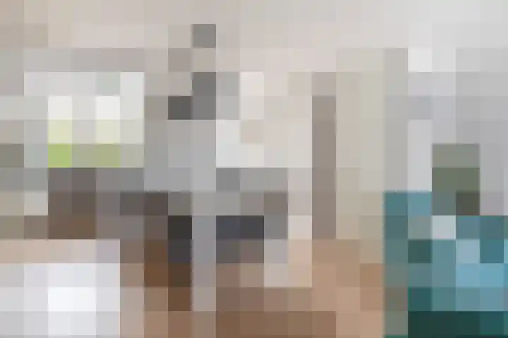 Bachplantsoen 6 Dirksland thumbnail 8