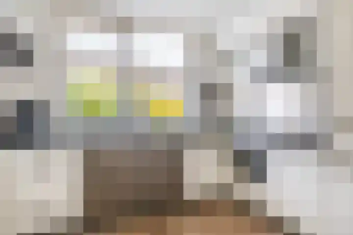 Bachplantsoen 6 Dirksland thumbnail 9