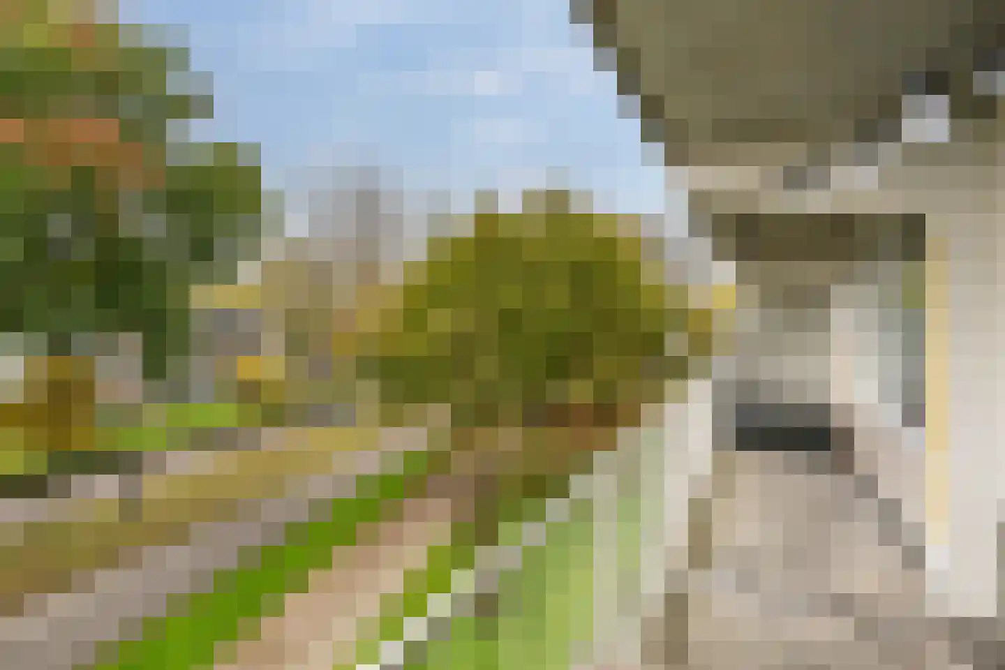 Bachplein 135 Schiedam thumbnail 11