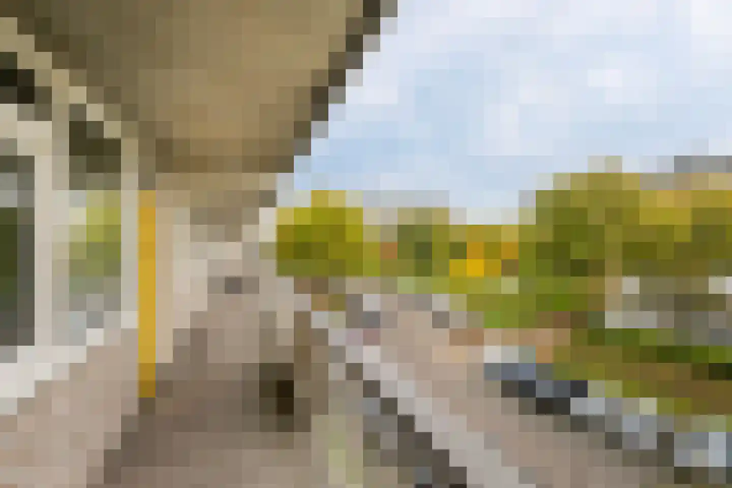 Bachplein 135 Schiedam thumbnail 12