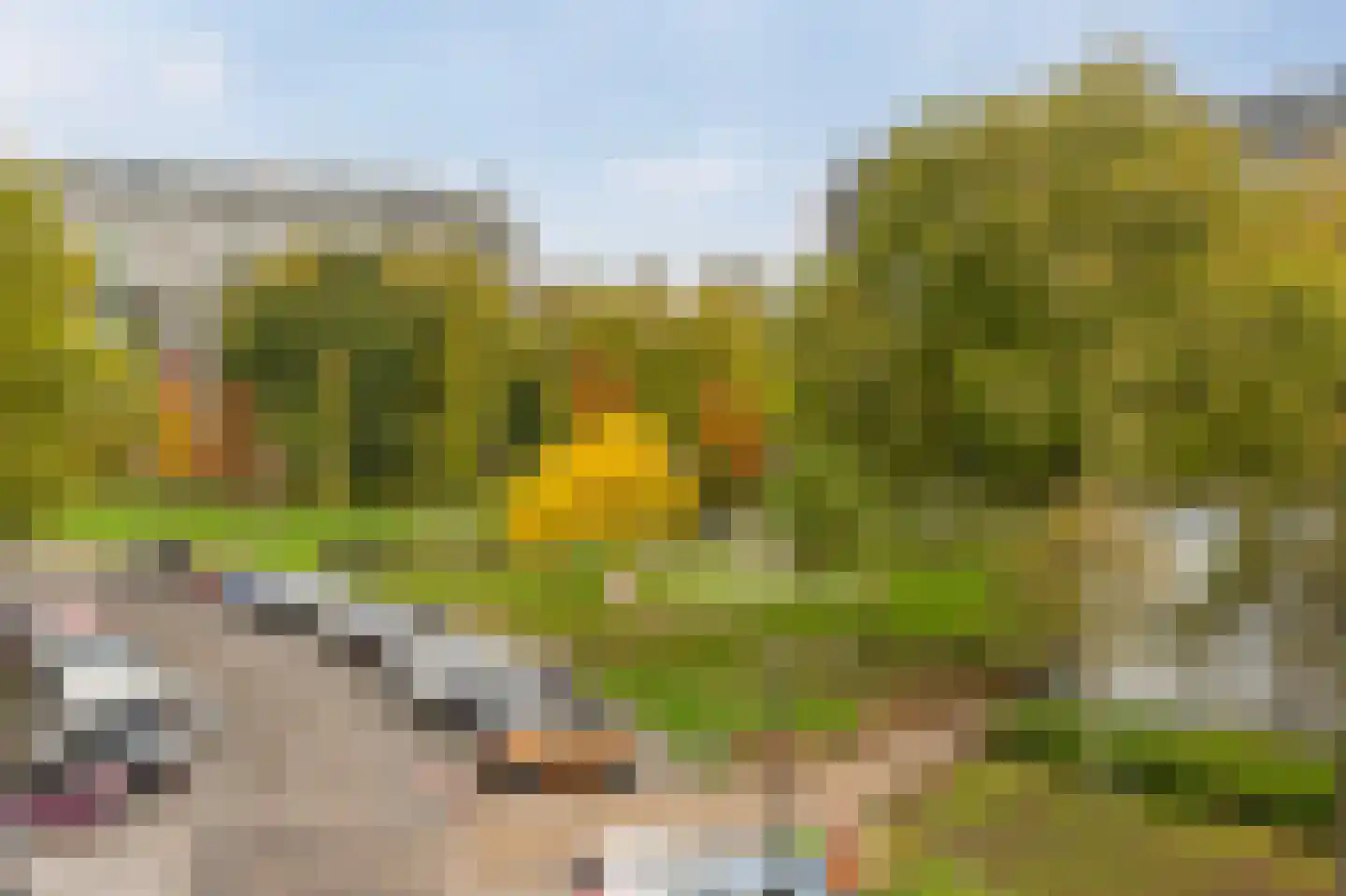 Bachplein 135 Schiedam thumbnail 14