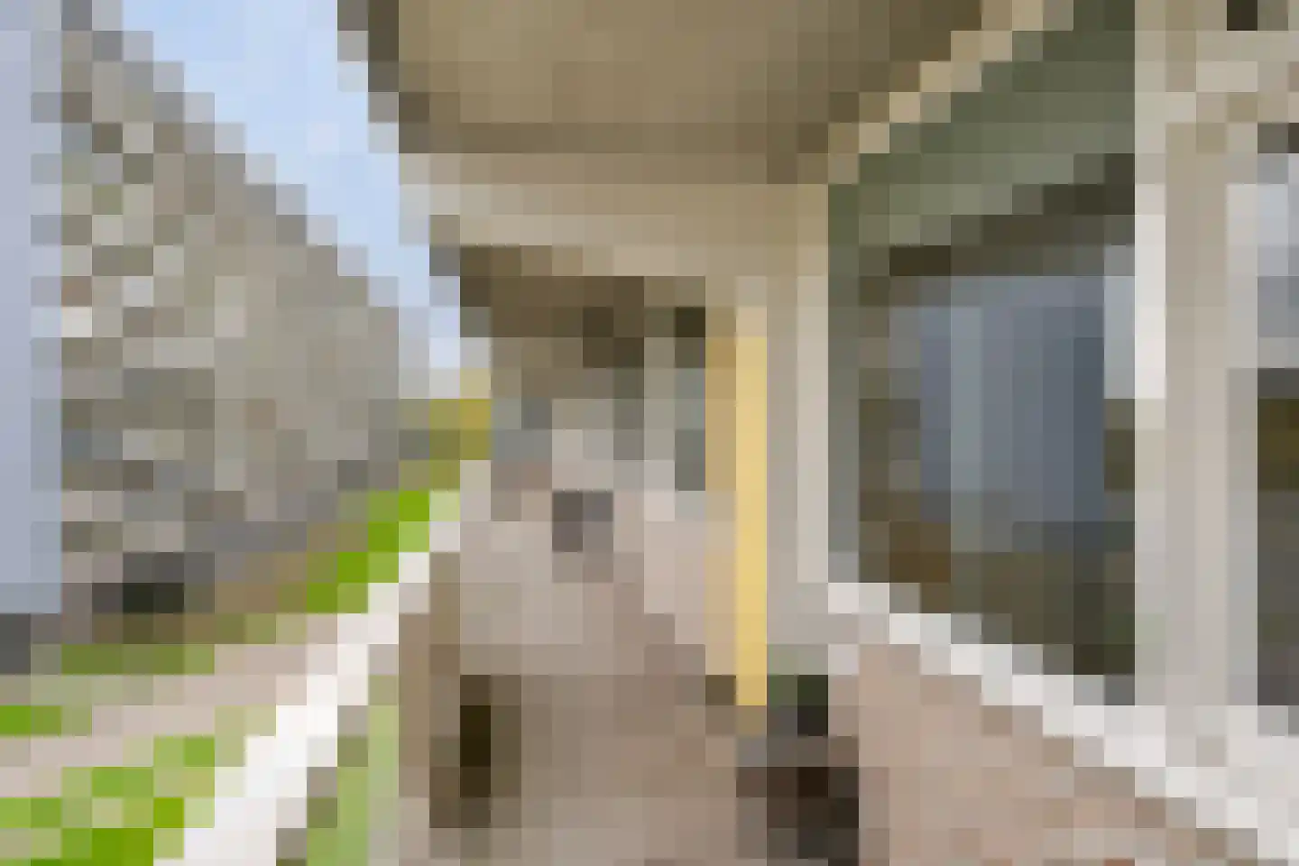 Bachplein 135 Schiedam thumbnail 15
