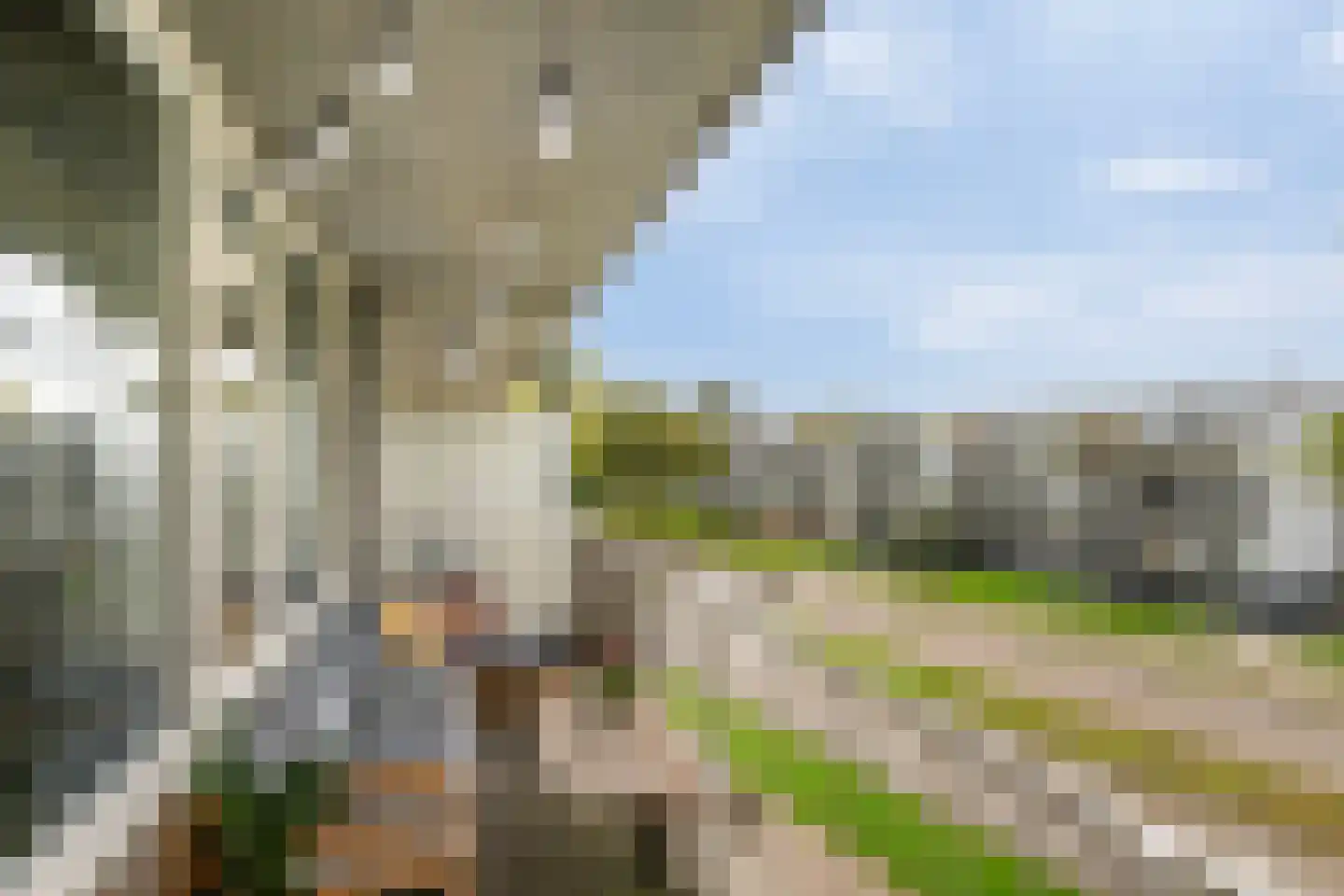 Bachplein 135 Schiedam thumbnail 23