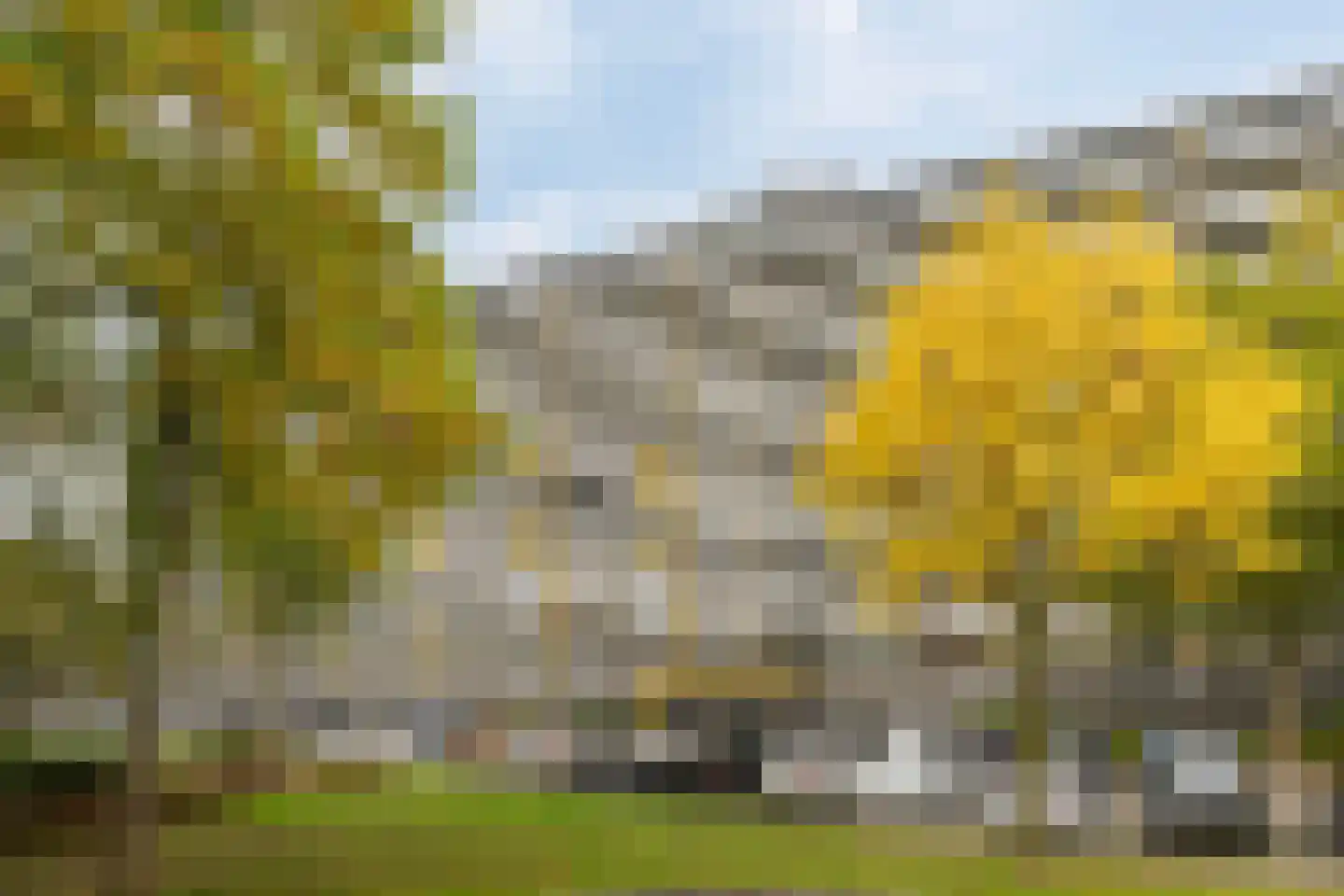 Bachplein 135 Schiedam thumbnail 5