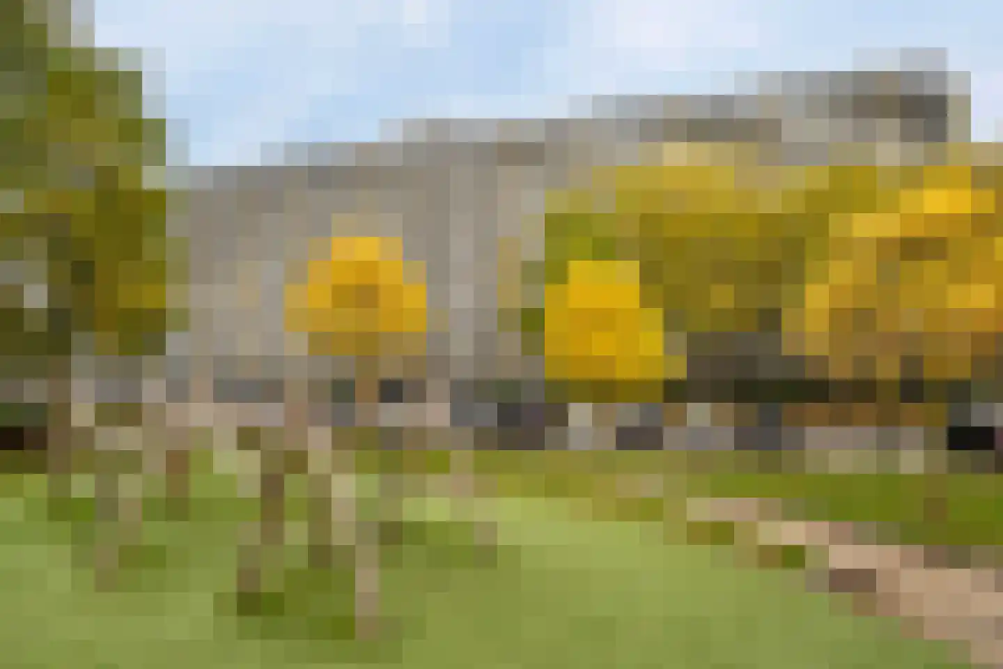 Bachplein 135 Schiedam thumbnail 6