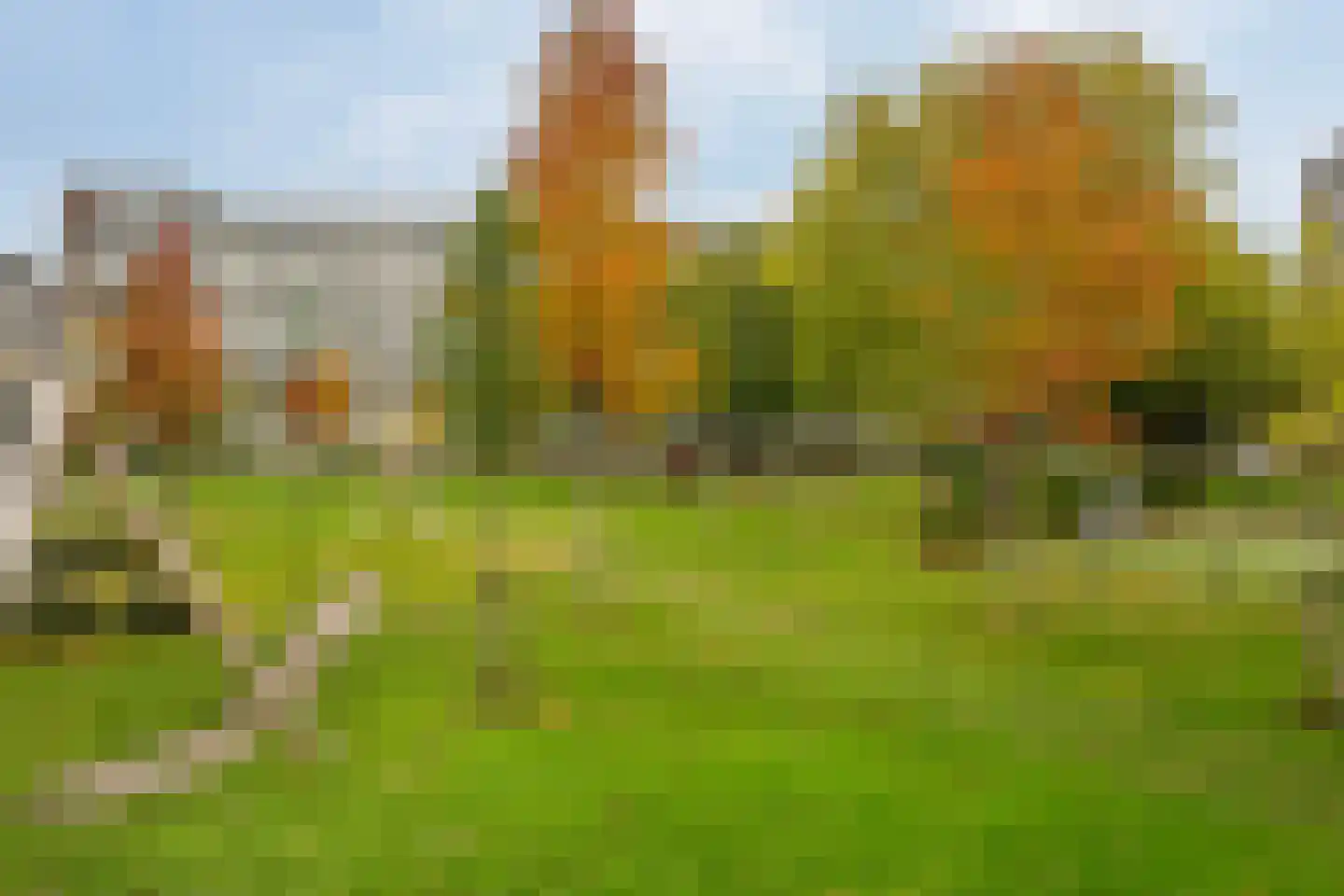 Bachplein 135 Schiedam thumbnail 7