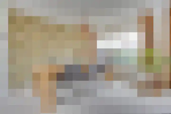 Bachplein 14 Maarssen thumbnail 10