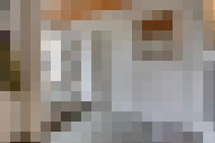 Bachplein 14 Maarssen thumbnail 41
