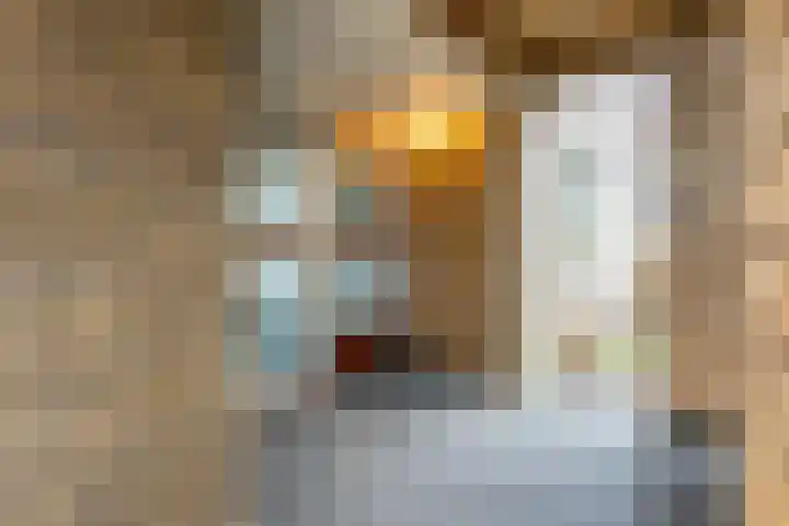Bachplein 14 Maarssen thumbnail 42