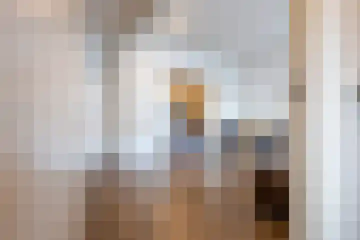 Bachplein 15 Heemskerk thumbnail 5
