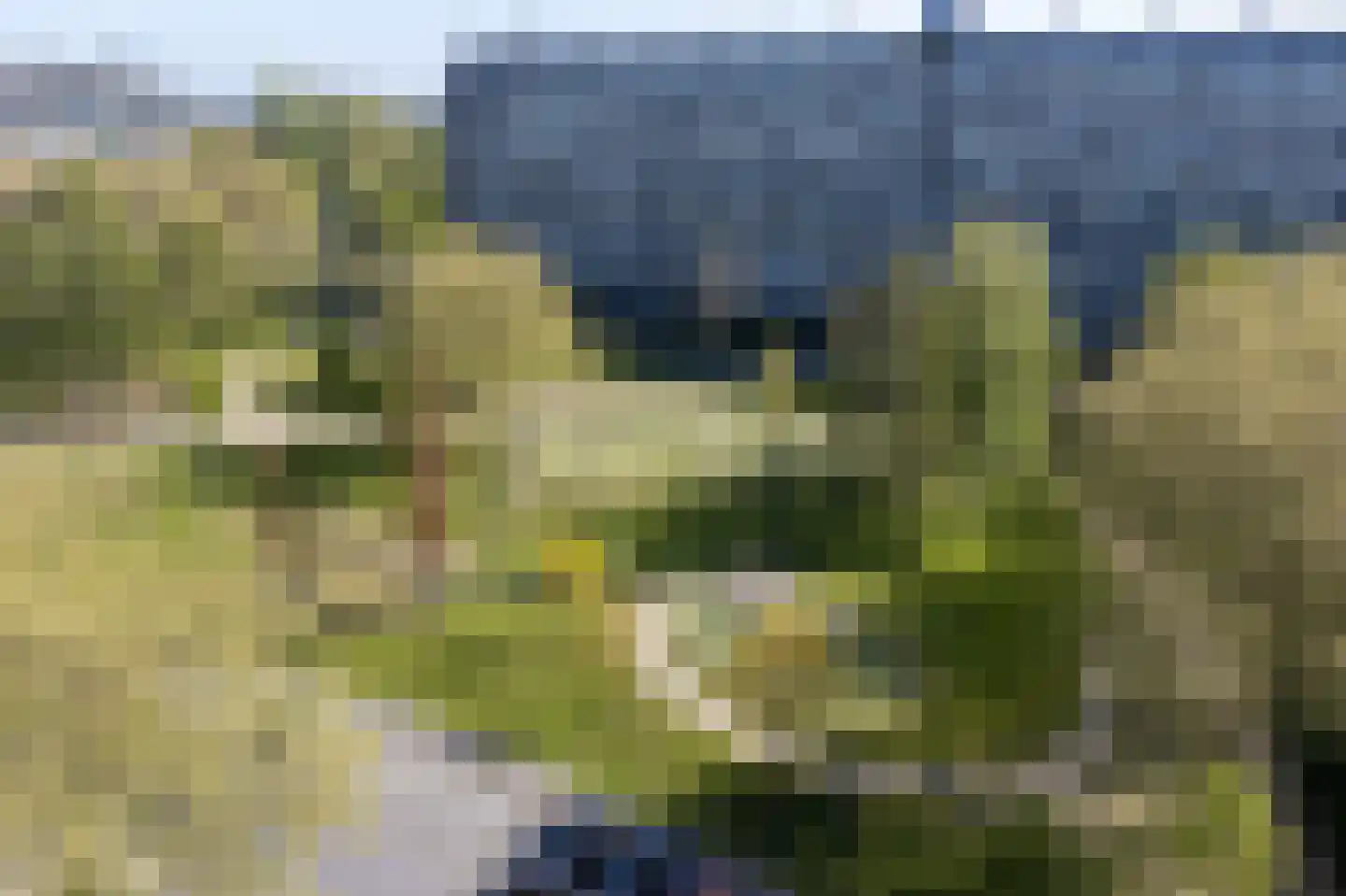 Bachplein 211 Schiedam thumbnail 4