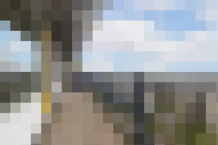 Bachplein 216 E Schiedam thumbnail 14