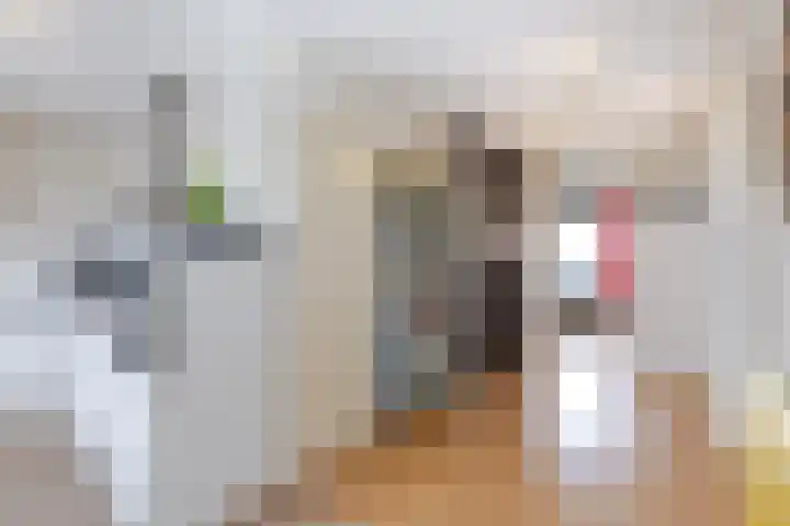 Bachplein 216 E Schiedam thumbnail 26