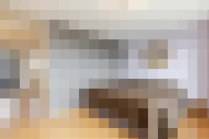 Bachplein 216 E Schiedam thumbnail 29