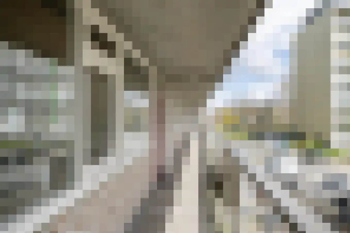 Bachplein 233 Schiedam thumbnail 21