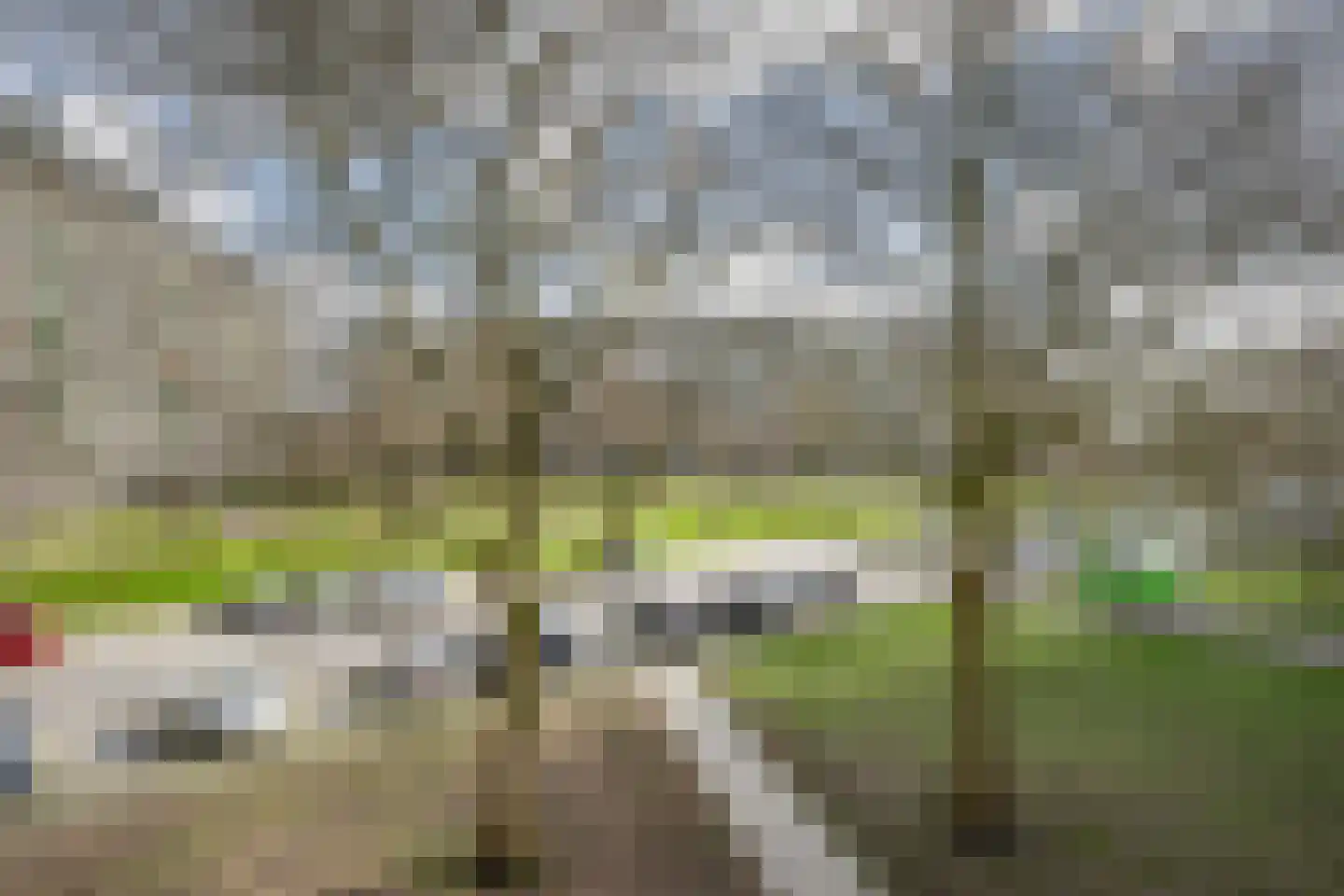 Bachplein 233 Schiedam thumbnail 23