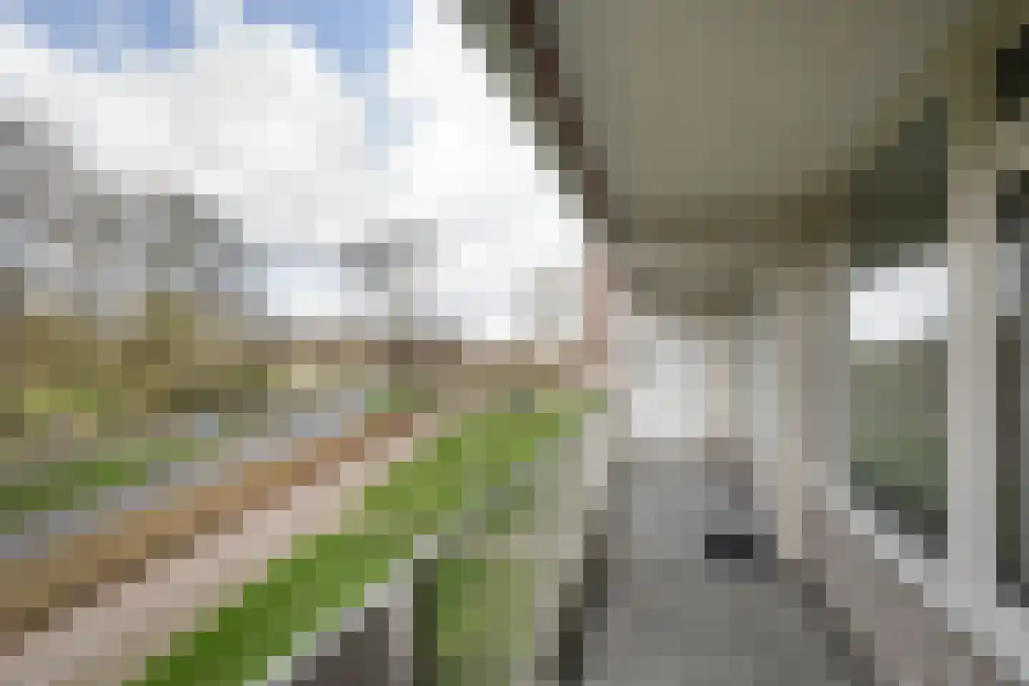 Bachplein 233 Schiedam thumbnail 5