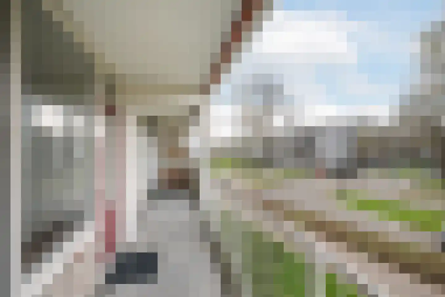 Bachplein 233 Schiedam thumbnail 6