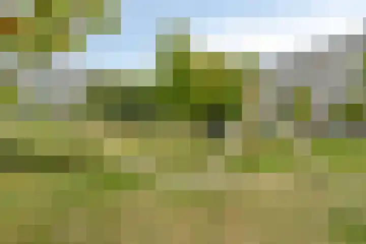 Bachplein 234 Schiedam thumbnail 23