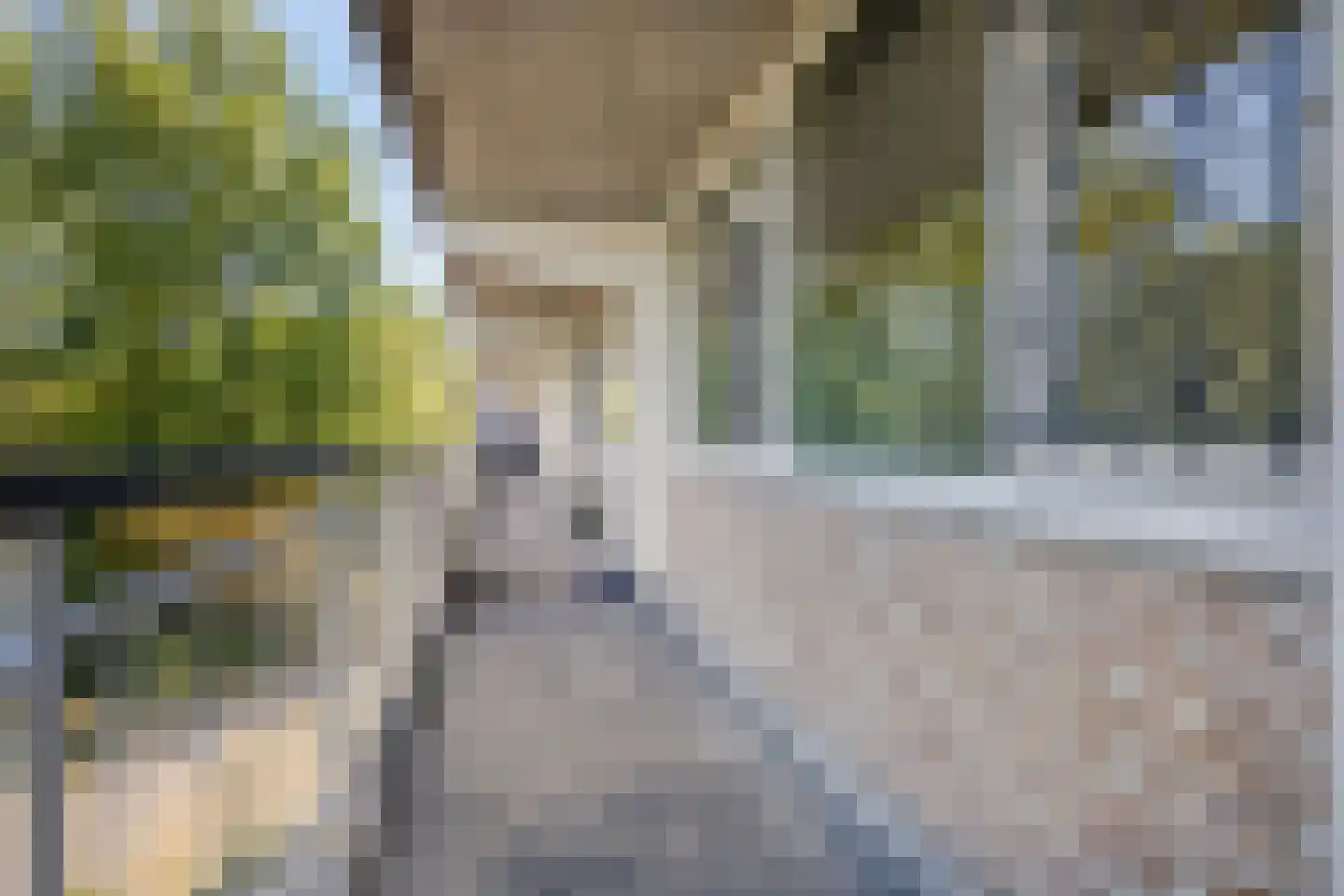 Bachplein 27 Schiedam thumbnail 12