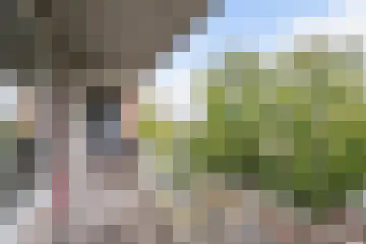 Bachplein 277 Schiedam thumbnail 5