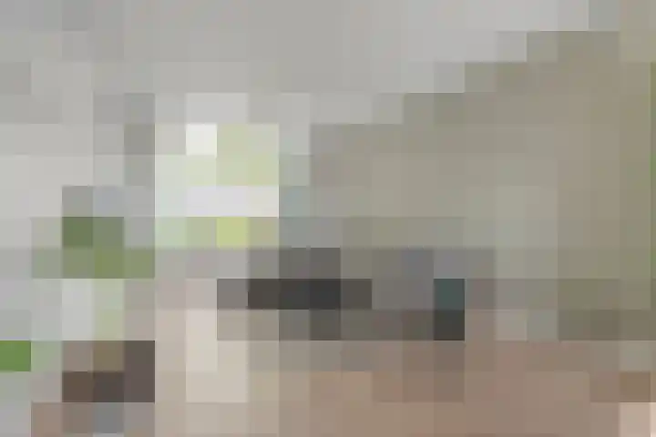 Bachplein 29 Dedemsvaart thumbnail 10