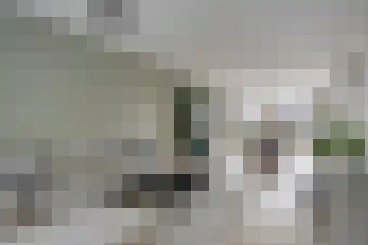Bachplein 29 Dedemsvaart thumbnail 11